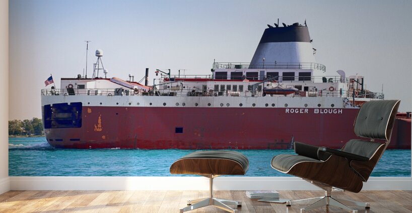 Roger Blough Detail 2 Wall Murals