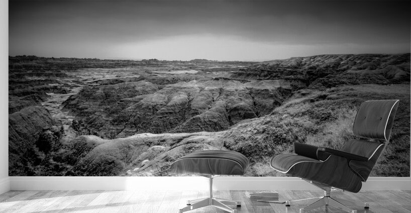 Shadows of the Earth: Echoes of the Badlands White River Wall Murals