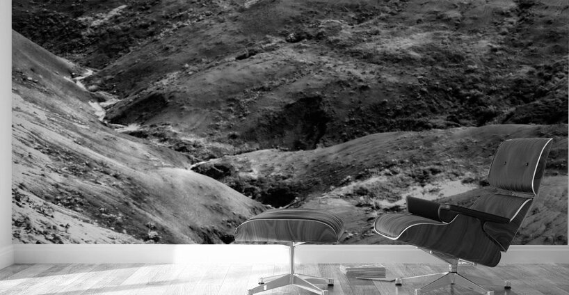 Shadows of the Earth: Eroded Beauty in the Badlands Wall Murals