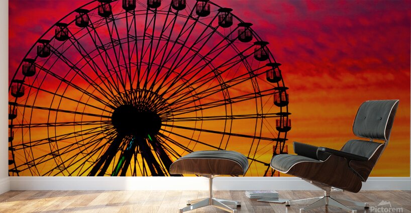 Ocean City Beyond Wonderland Color Explosion Wall Murals