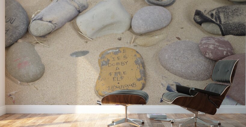 Dobby Harry potter stones left at grave Wall Murals