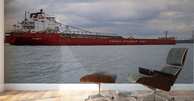 Salarium 1 Wall Murals