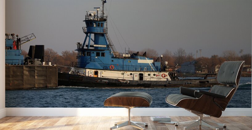 Sarah Andrie Detail 2 Wall Murals