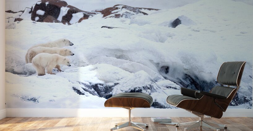 Overwatch Wall Murals