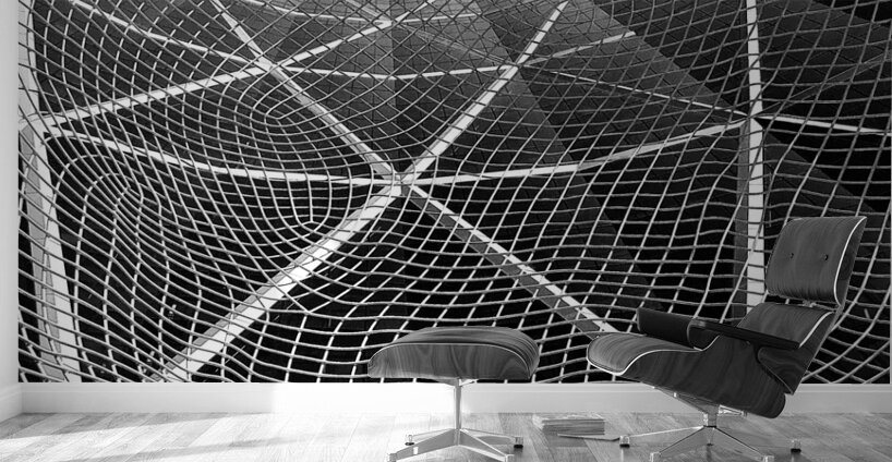 Lines to the Sky Wall Murals