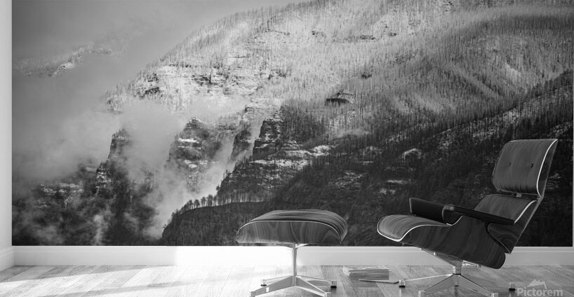 6750 Columbia River Gorge B and W 1 of 1 Wall Murals