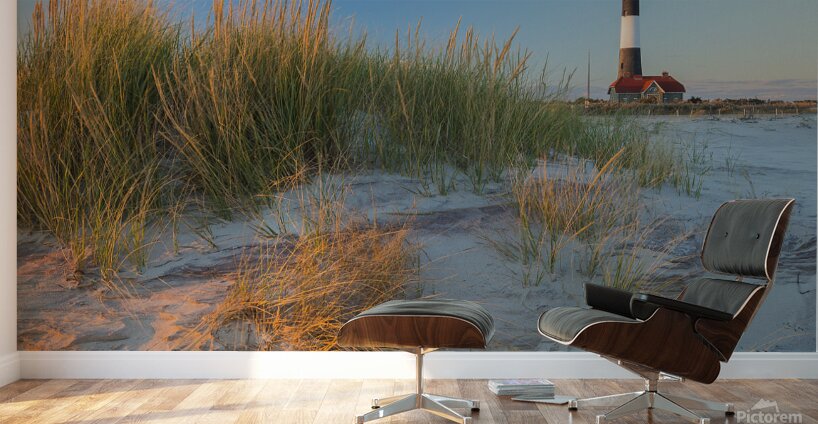 Golden Grass Blue Sky Wall Murals