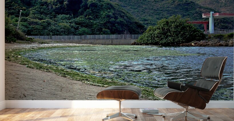 HK-FV-The Seaweed along the seaside at Cheung Chau 02 Wall Murals