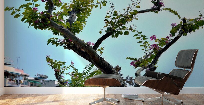 HK-VL - The Village and Landscape Wall Murals