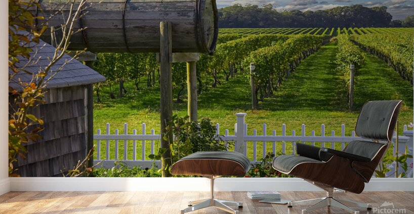 Vineyard View Wall Murals