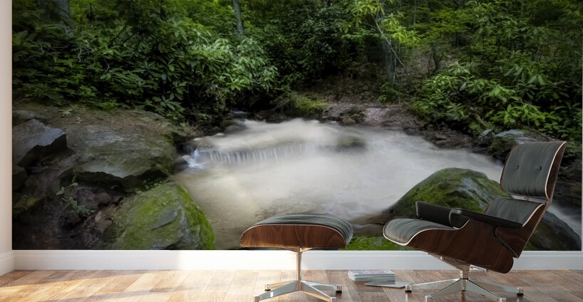 Cascade in the Mountains Wall Murals