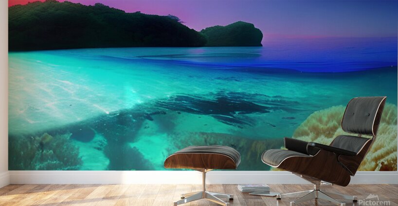 sea ocean landscape water transparent clean coral Wall Murals