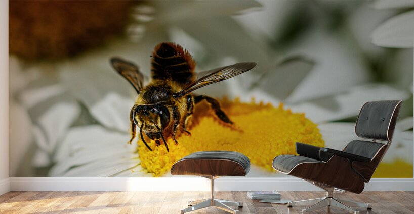 The Nectar Collector Wall Murals