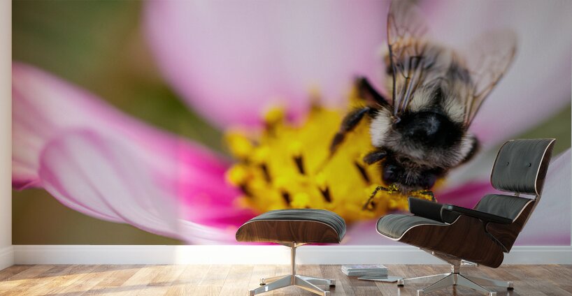 Harmony in Bloom Wall Murals