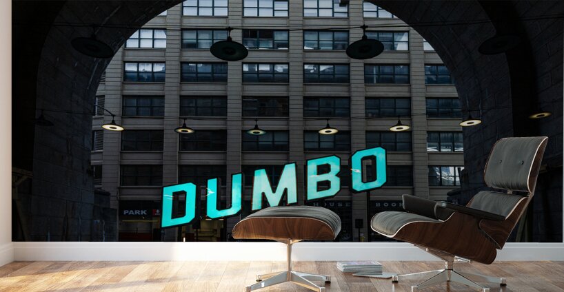 DUMBO Wall Murals