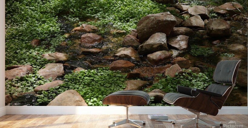 Zion National Park Utah Wall Murals