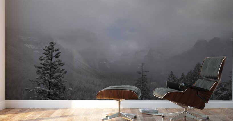 Foggy Yosemite in Winter Wall Murals