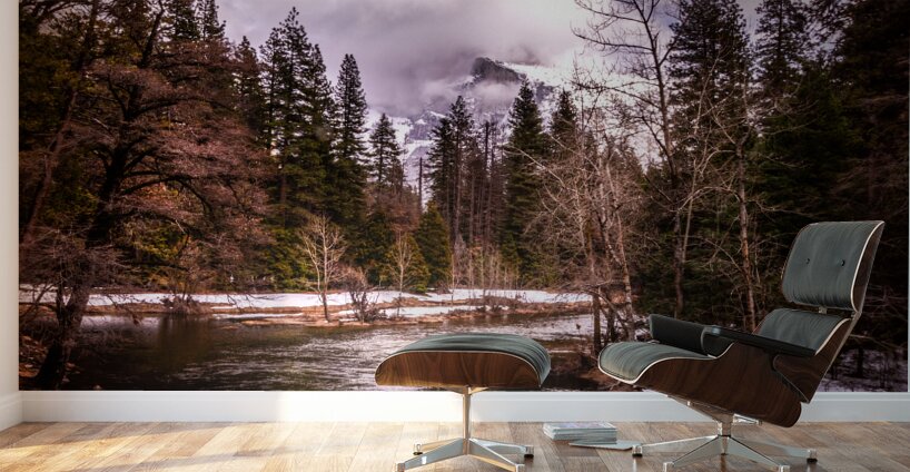 Up the Yosemite Merced River Valley Wall Murals