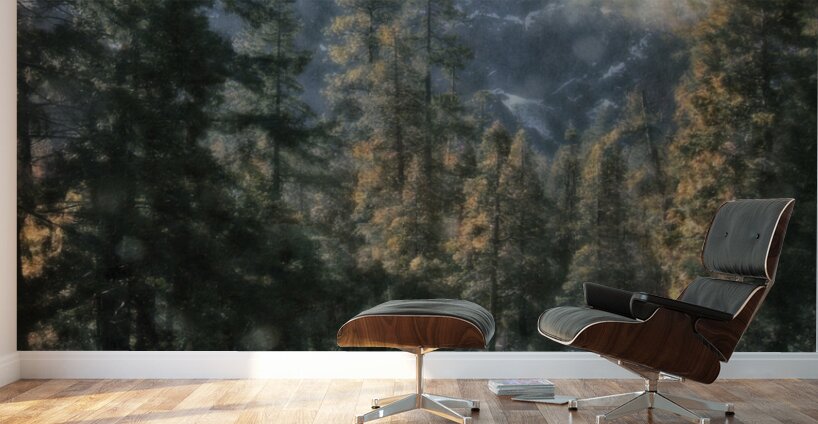 Yosemite Down Stream Wall Murals