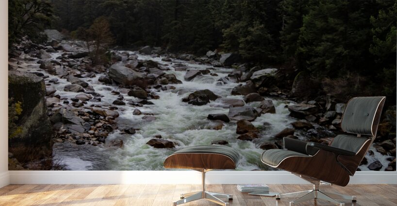 Raging Merced River Wall Murals