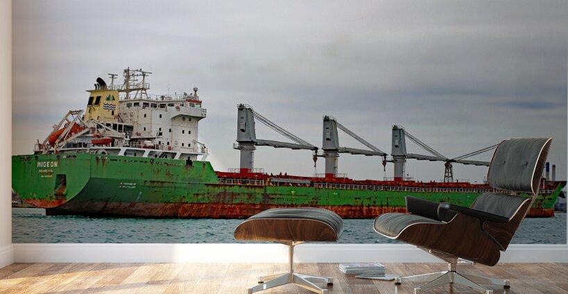 Wigeon Panorama 042520 Wall Murals