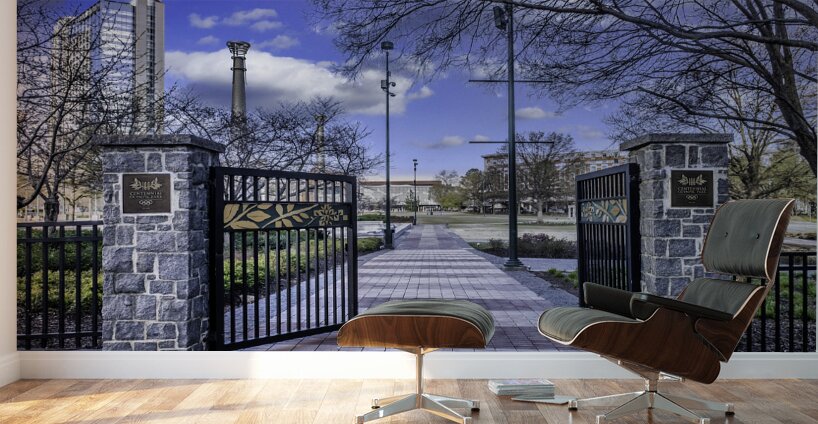 Gate to Olympic Centennieal Park Wall Murals