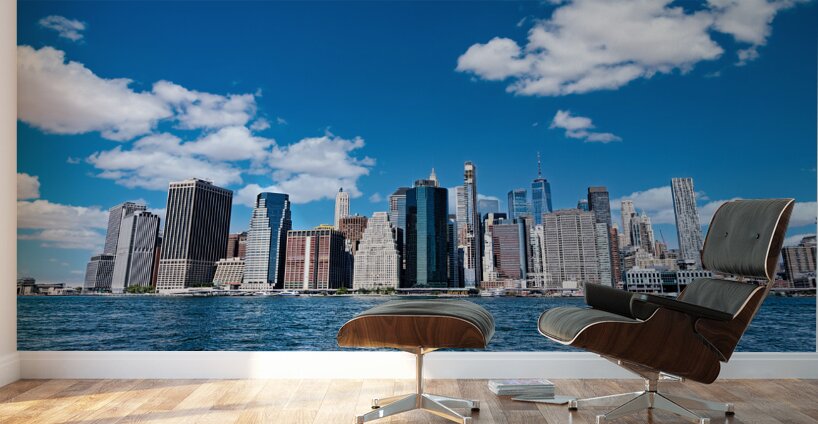 New York City from Brooklyn Wall Murals