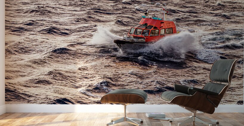 Pilot Boat with Cruise Ship Leaving Roatan Wall Murals