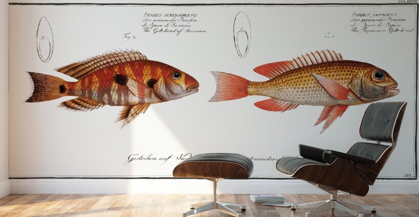 Japanese Threadfin Bream and Redstriped Eartheater Wall Murals