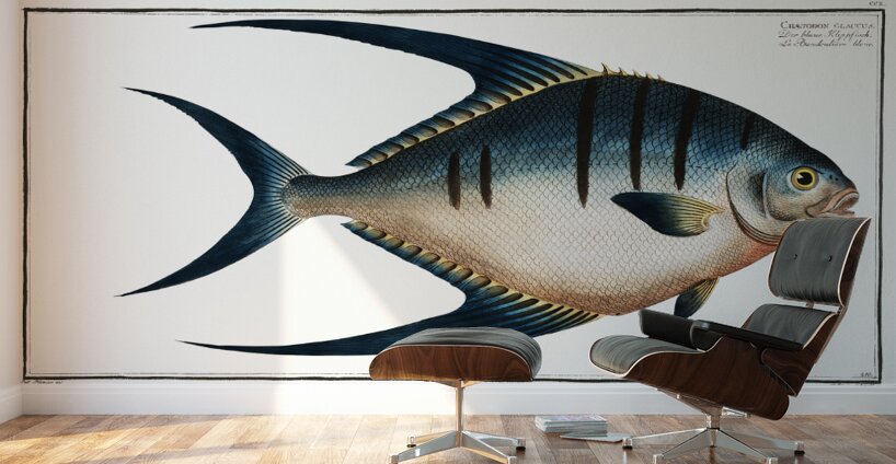 Great Pompano Palometa Wall Murals