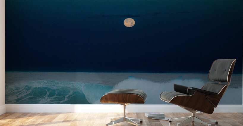 BZ9 8636 Wall Murals