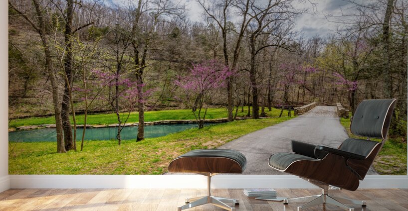 Walking Path On Spring Season Day Wall Murals