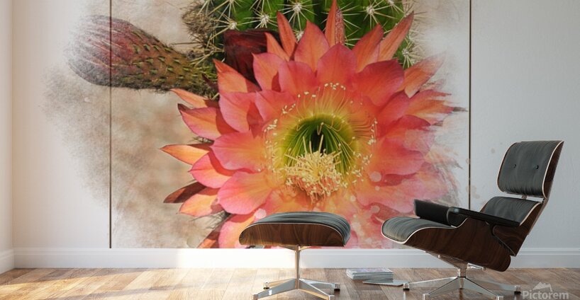 Argentine Giant Flower Bloom 1 Wall Murals