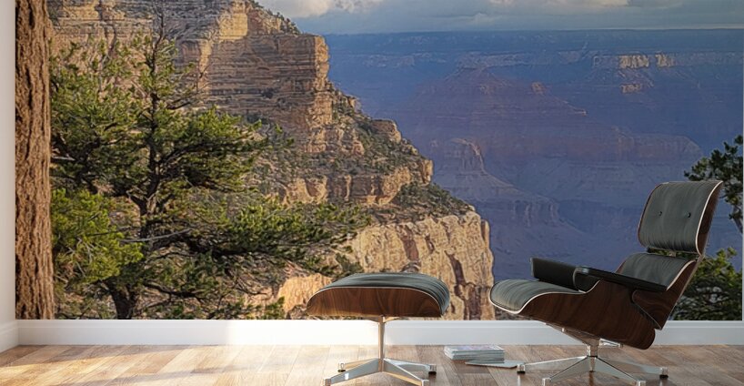 Morning at the Grand Canyon Wall Murals