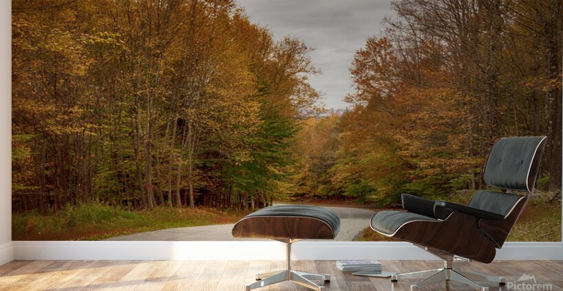 Tranquil Autumn Roads Sullivan County NY Wall Murals