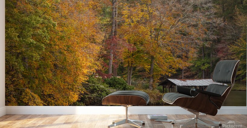 Fall at Hyco Lake Wall Murals