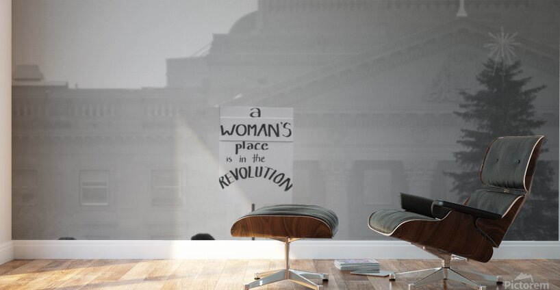 A Womans Place...is in The Revolution.  Wall Murals