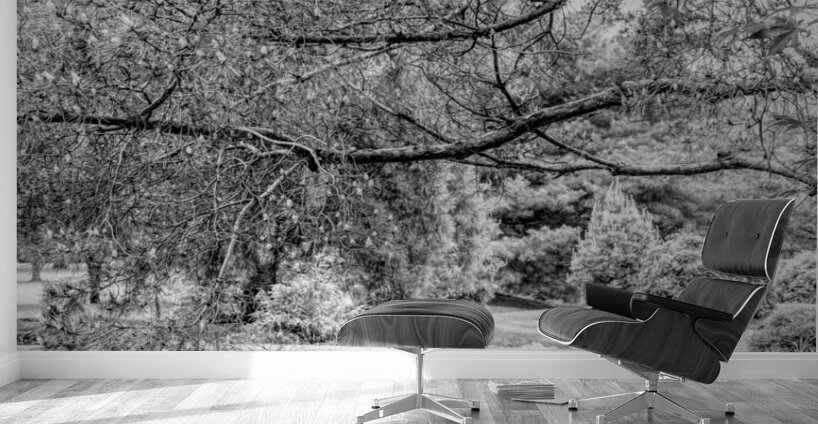 Spring Season Zen Garden Grayscale Wall Murals