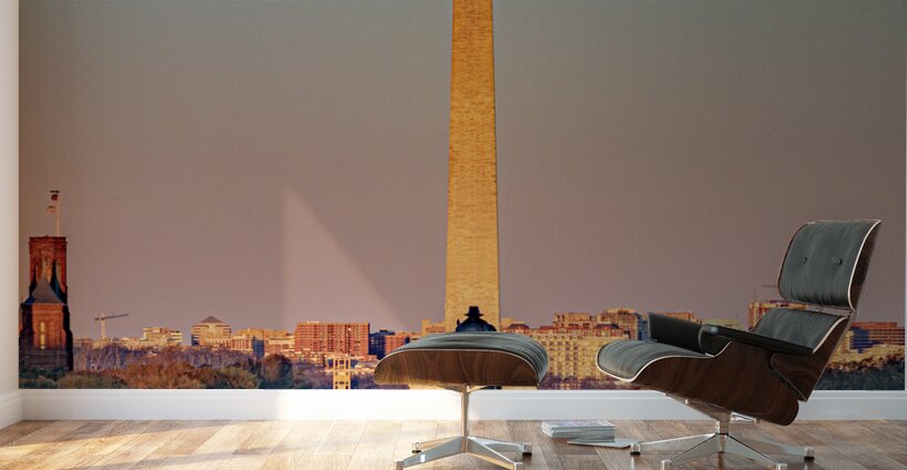 Moon Over Mall Wall Murals