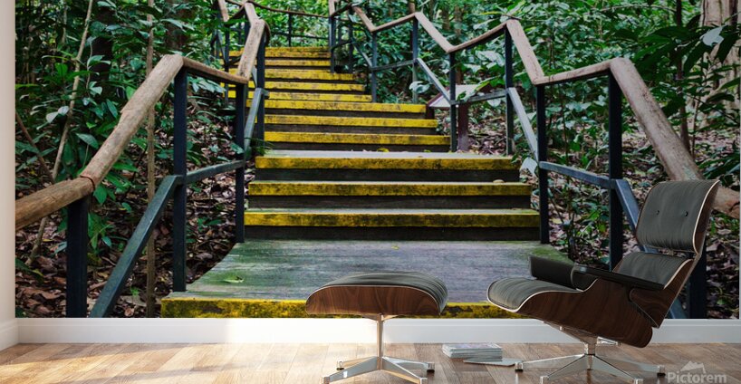 Path Through the Green Singapore Wall Murals