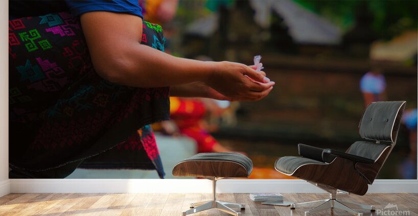 Bali Feeding Fish – Tirta Empul Temple Indonesia Wall Murals