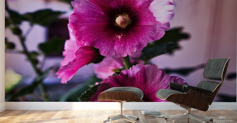 Wild Bloom in Tombstone Wall Murals