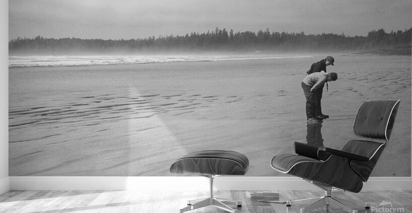 Tofino Reflections Vancouver Island Wall Murals