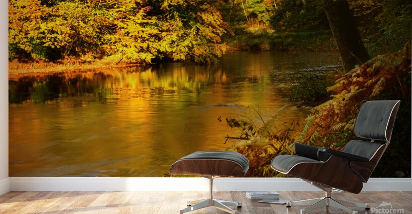 Tamar River Tavistock Devon Wall Murals