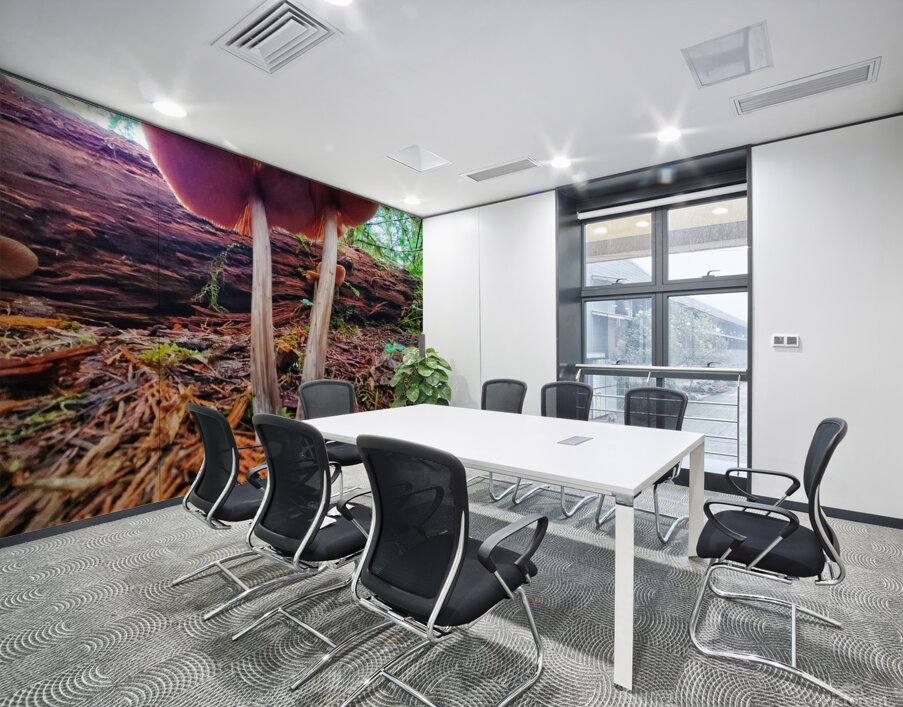 Forest Mushrooms Wall Printing