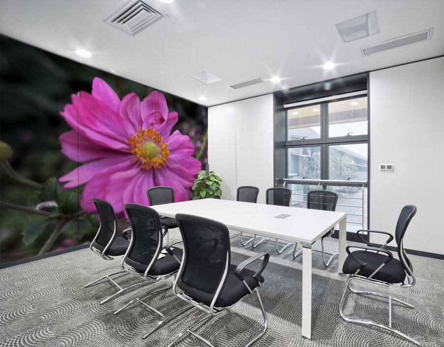 Anemone Hupehensis ‘Prinz Heinrich’ Wall Printing