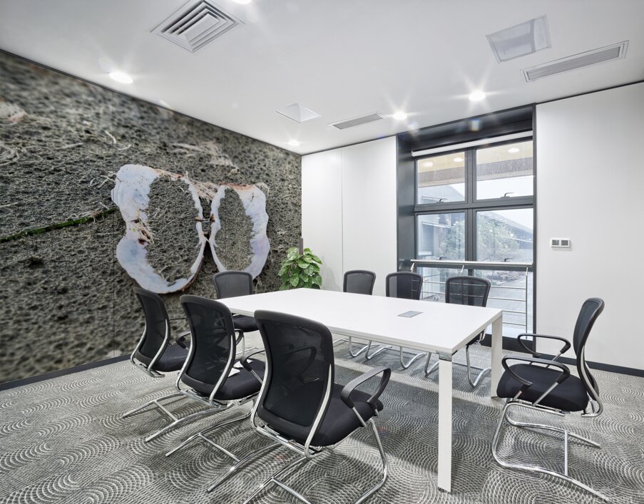 Seashell Angel Wings Tofino Wall Printing