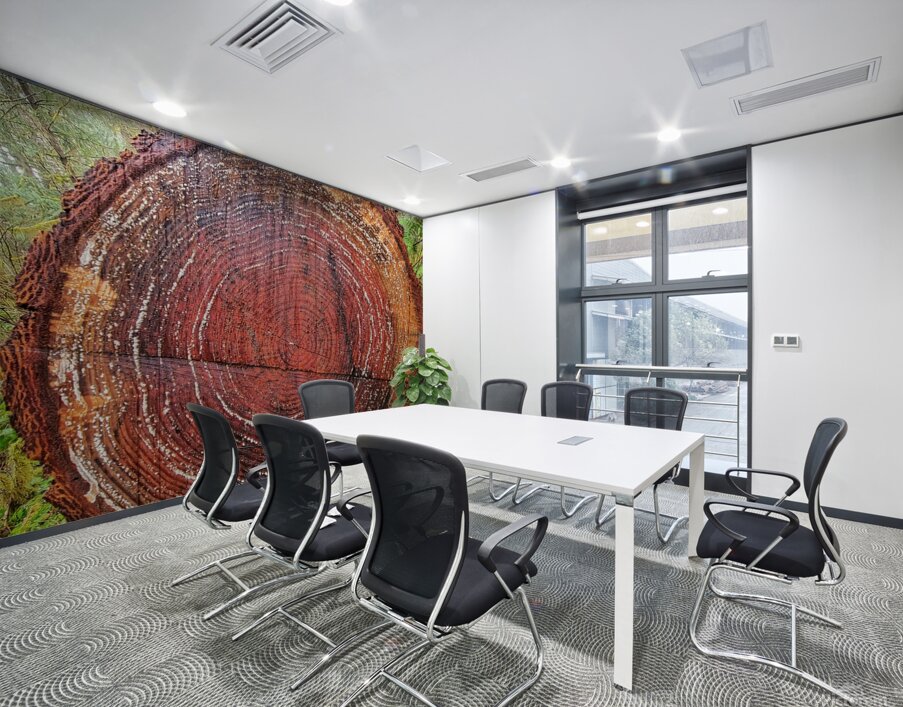 Tree Rings Wall Printing