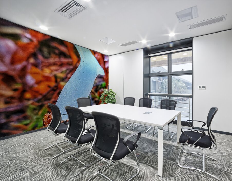 Forest Mushrooms Wall Printing