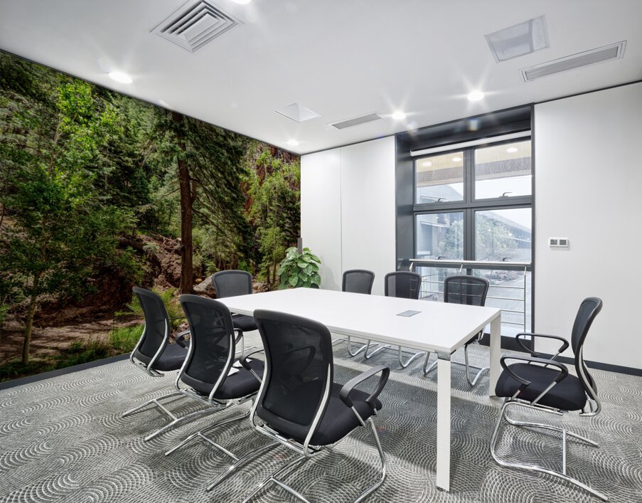 Colorado Forest Creek And Mountains Wall Printing